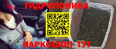твердый Дубна