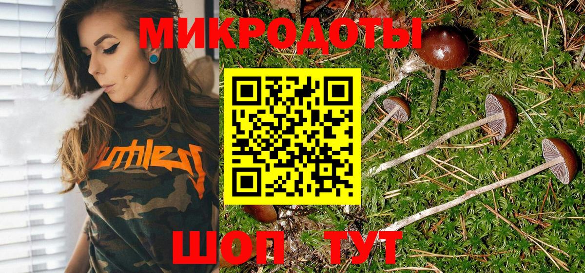 Кулебаки  наркошоп  Псилоцибиновые грибы прущие грибы  Вход с VPN  Псилоцибиновые грибы Cubensis 